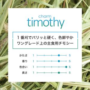 令和5年限定 チャームオリジナルチモシー チャ...の詳細画像4