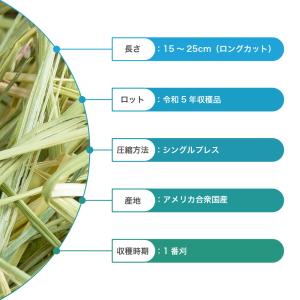 令和5年限定 チャームオリジナルチモシー チャ...の詳細画像5