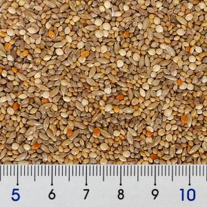NPF エクセル おいしい小鳥の食事 皮付き ...の詳細画像1