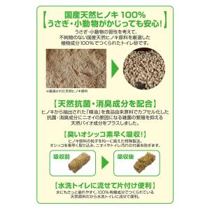 フクロモモンガ シマリス はじめての飼育セット...の詳細画像3