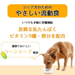 アース・ペット わんわんカロリー ライフ シニ...の詳細画像1