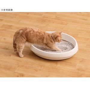 猫砂 アイリスオーヤマ クリーンサンド 5L ...の詳細画像2