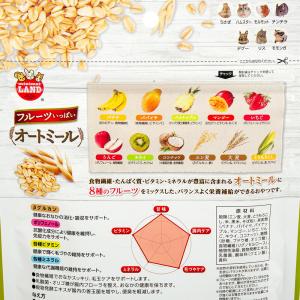 マルカン フルーツいっぱいオートミール 180...の詳細画像3