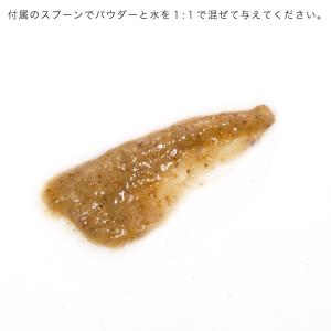 ZOOMED クレステッドゲッコーフード プラ...の詳細画像3