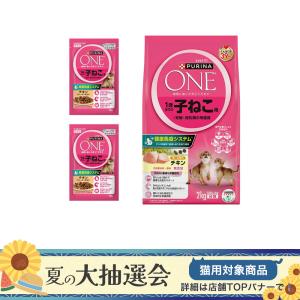 キャットフード　ピュリナワン　猫　キャット　子猫　１歳までの子ねこ用／妊娠・授乳期の母猫用　チキン　２ｋｇ　＋おまけウェット２個　お一人様２点限り｜チャーム charm ヤフー店