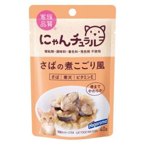 はごろもフーズ　にゃんチュラル　パウチ　さばの煮こごり風　４０ｇ｜chanet