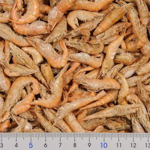 カンシャ 乾蝦 天然手ながエビ 80g 缶詰の詳細画像1