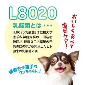 ゴン太の歯磨き専用ガム SSサイズ L8020...の詳細画像4