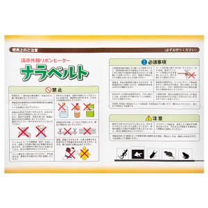 レップジャパン ナラベルト L 爬虫類 両生類...の詳細画像5
