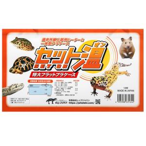 レップジャパン セット温 特大フラット プラケ...の詳細画像3