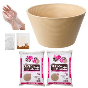 （ビオトープ）（めだか）ラメメダカ付き！チャームおすすめビオトープセット！　睡蓮　スイレン　ビオトープ　本州四国限定