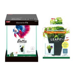 GEX ガラス水槽 グラステリアフィット ベタ 150 水槽＆餌＆水質