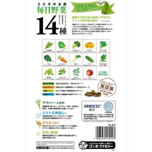 マルカン うさぎの毎日野菜&果実セット メンテ...の詳細画像4
