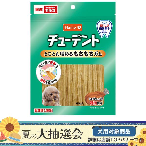 ハーツ　チューデント　とことん噛めるもちもちガム　チキン味　６０ｇ