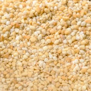 JUN カモミールサンド 5kg 砂利 アクア...の詳細画像2
