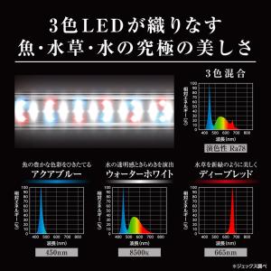GEX クリアLEDパワー3 600 ブラック...の詳細画像5