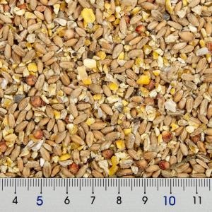 アラタ 中雛の食事 3kg 鳥 フード 餌 えさの詳細画像1