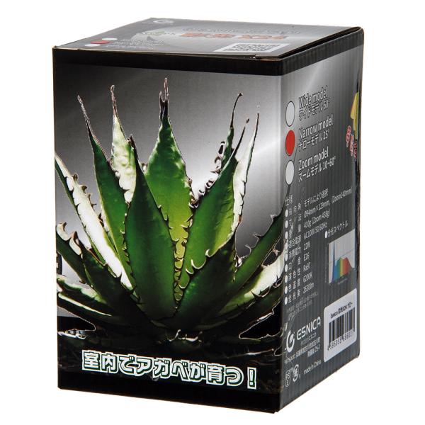 ボルクスジャパン　彩光　Ｘ２４　ナロー　Ｒａ９７　ライト　照明