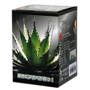 NEO TSUKUYOMI ツクヨミ LED BLACKEDITION