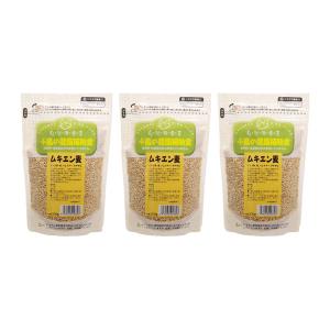 黒瀬ペットフード　自然派宣言　小鳥の健康補助食　ムキエン麦　３００ｇ×３