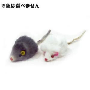 キャティーマン じゃれ猫 仔ネズミ 1匹の詳細画像1