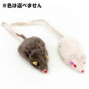 キャティーマン じゃれ猫 仔ネズミ 1匹の詳細画像2