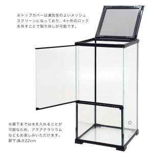 爬虫類ケージ テラスペース 30x30x60c...の詳細画像2