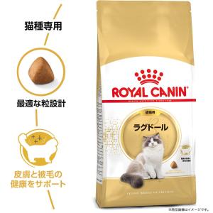 ロイヤルカナン 猫 ラグドール 成猫用 生後1...の詳細画像4