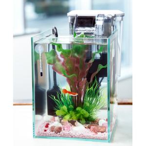 水槽 セット 熱帯魚）（水草）飼育セット GEX ガラス水槽 グラステリア