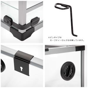 ジャイアンガーデン フォーダブルレプタイルガー...の詳細画像3