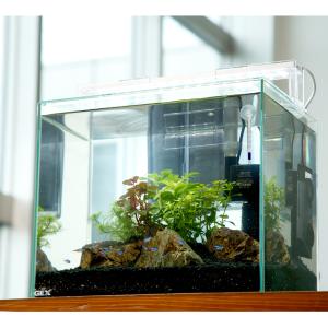 ニッソー ニッソー スティングレー450H LED熱帯魚セット