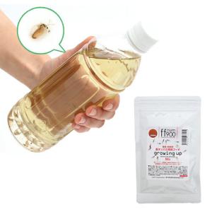 （生餌）オオミジンコ入り飼育水（５００ｍｌ）＋ｆｆ　ｎｕｍ９００　プレミアム稚魚用フード　高タンパク育成フード　パウダー　３０ｇ　本州四国限定