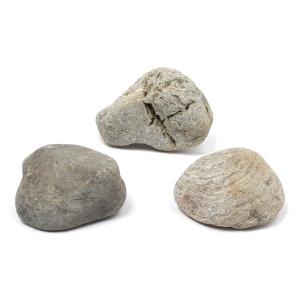 チャーム（charm） 褐光石 10kg 約5〜30cm 60cm水槽向け
