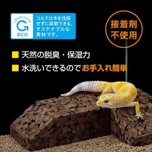 GEX エキゾテラ テラコルクスロープの詳細画像4