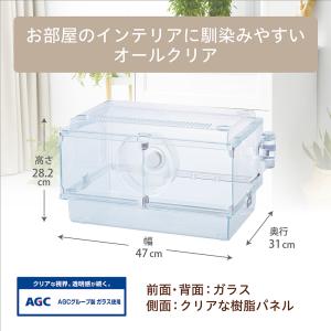GEX グラスハーモニー 450N(47×31...の詳細画像5