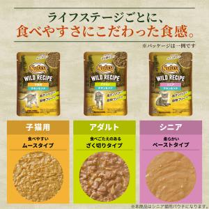 ニュートロ キャット ワイルド レシピ シニア...の詳細画像3