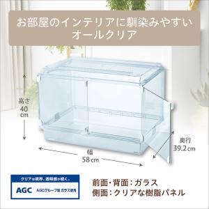 GEX グラスハーモニー マルチ 600N(5...の詳細画像4