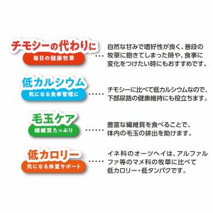 マルカン バニーグレードオーツヘイ 500g ...の詳細画像4