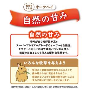 マルカン バニーグレードオーツヘイ 500g ...の詳細画像5