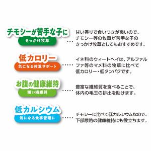 マルカン バニーグレードウィートヘイ 500g...の詳細画像4