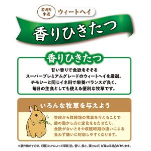 マルカン バニーグレードウィートヘイ 500g...の詳細画像5