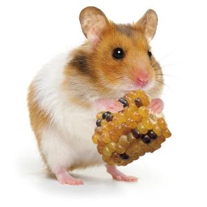 マルカン かじってミニコーン ショートタイプ ...の詳細画像3