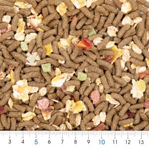 マルカン モルモットの食事 逸品グルメ 500...の詳細画像1