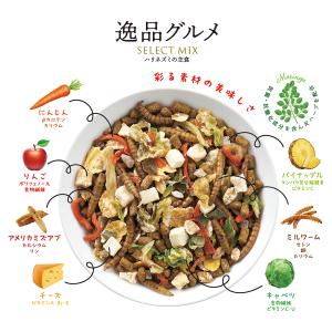 マルカン ハリネズミの食事 逸品グルメ 300...の詳細画像3
