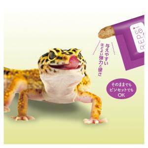 マルカン レオパウェットフード コオロギ 3g...の詳細画像3