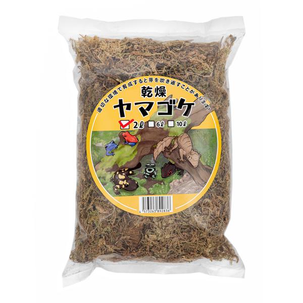 ＴＨＥ　ヤマゴケ　２Ｌ