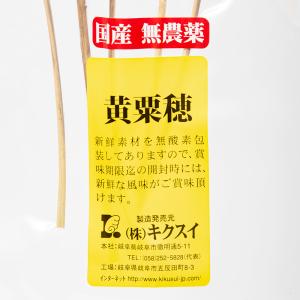キクスイ 国産無農薬 黄粟穂 250gの詳細画像1
