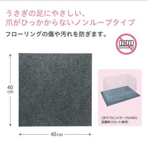 GEX ラビング クリアメゾン 120 交換用...の詳細画像3