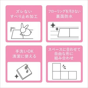 GEX ラビング クリアメゾン 120 交換用...の詳細画像4