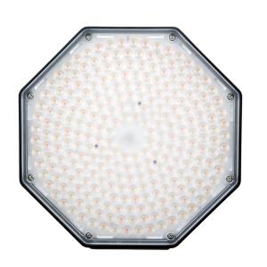 ROKI-Octagon LED 50W BK...の詳細画像1